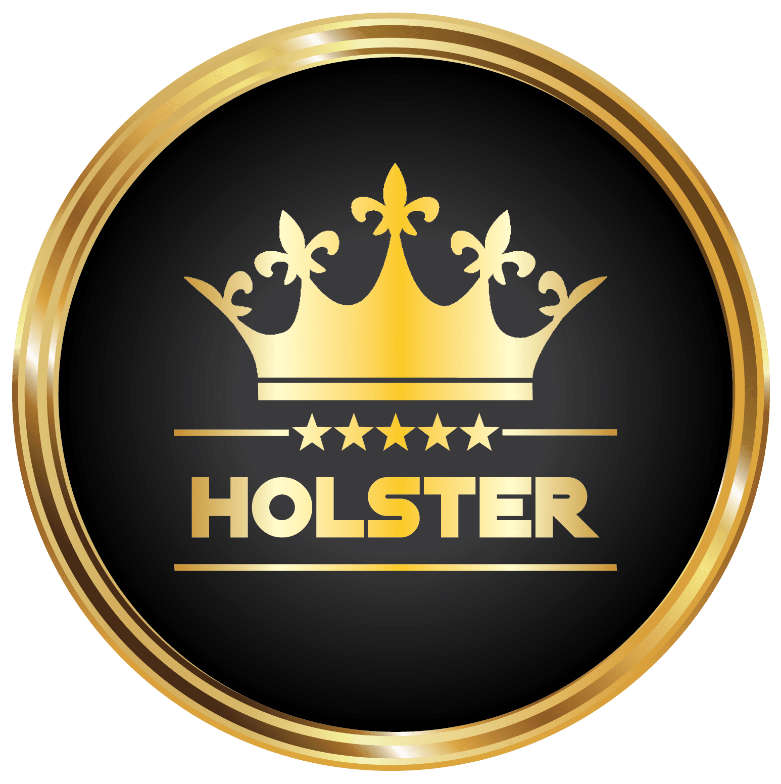 HOLSTER